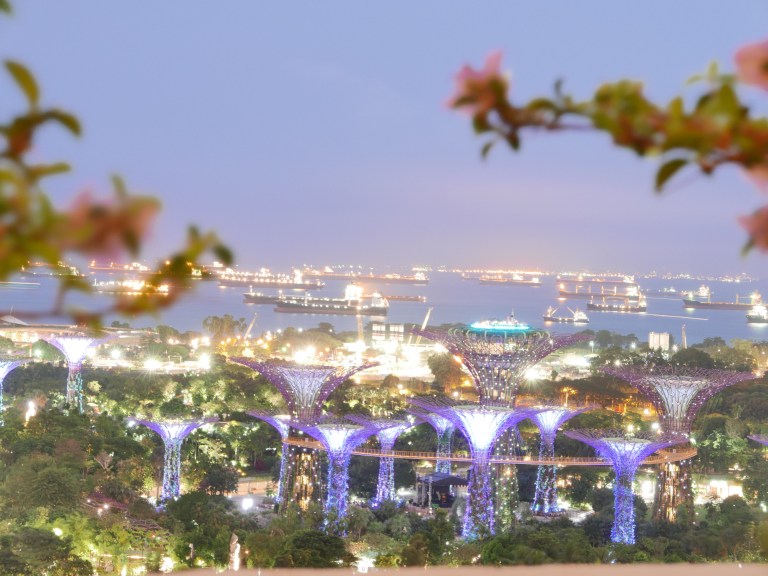 img_4836_32954123883_o