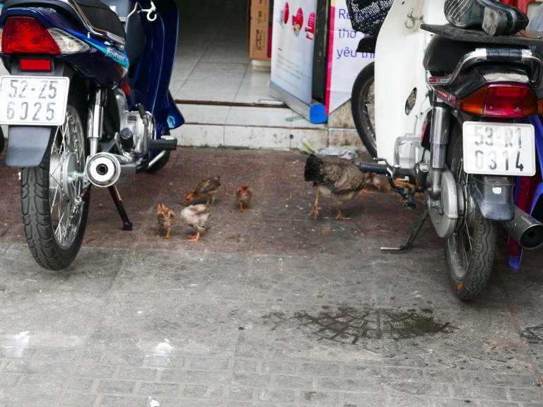 img_4622_33717305136_o