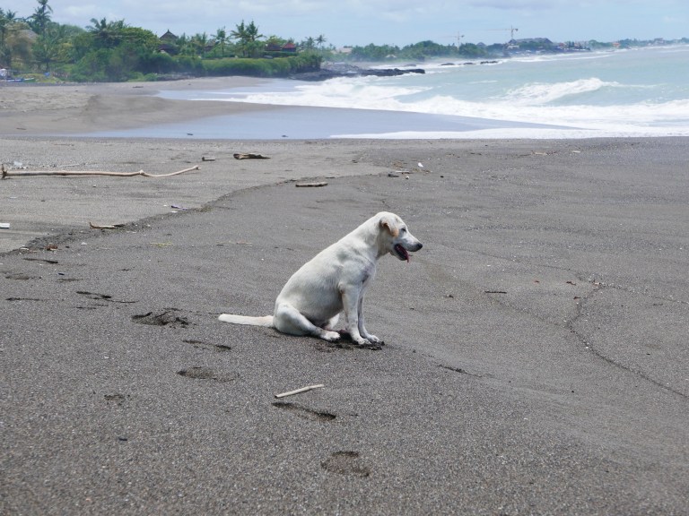 img_4699_33720405016_o