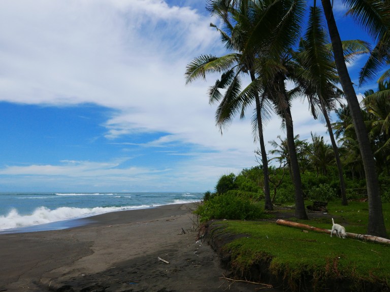 img_4700_33632250151_o