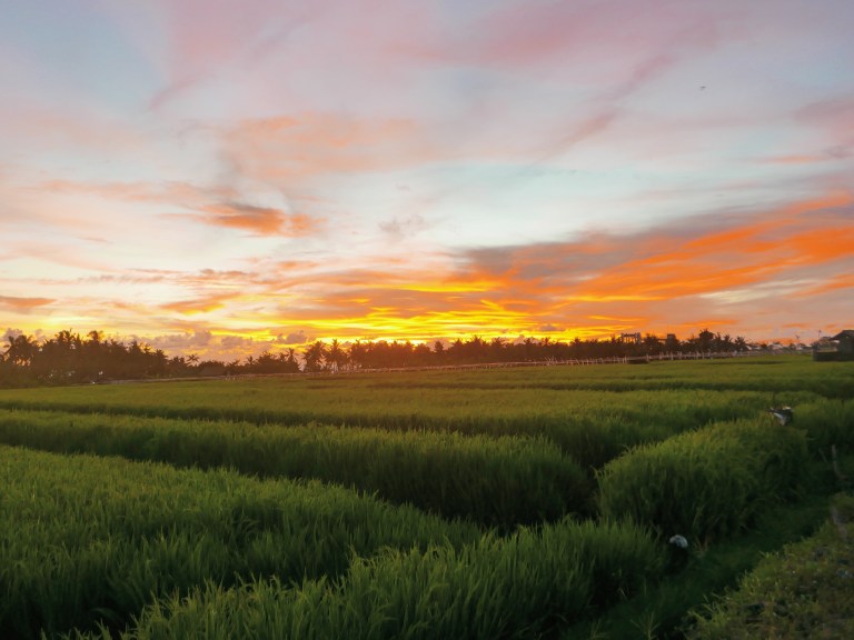 img_4724_33720449406_o