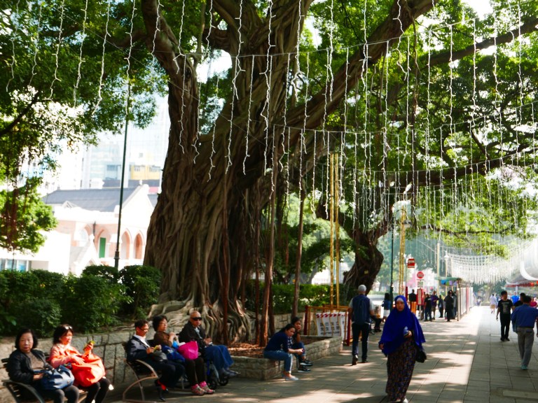 p1040063_33716646666_o