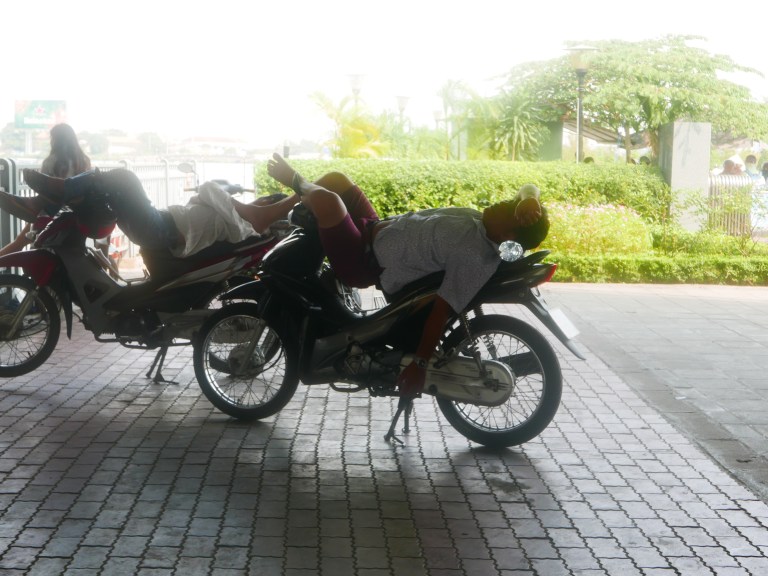 p1040118_33758110175_o