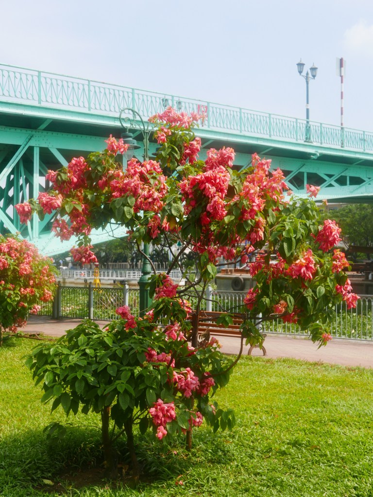 p1040125_33758108665_o