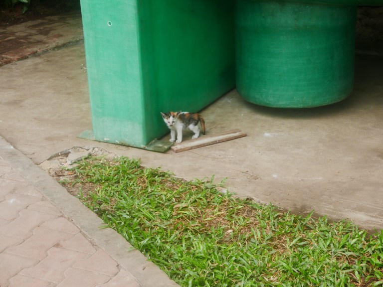 p1040127_33758107015_o