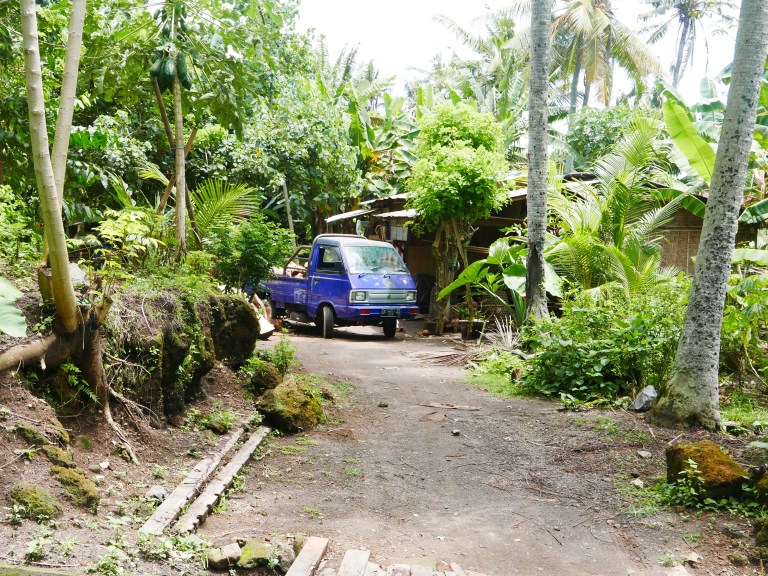 p1040331_33720394776_o