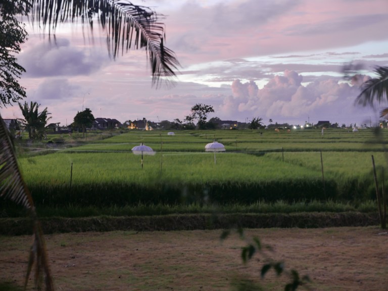 p1040363_33632247661_o