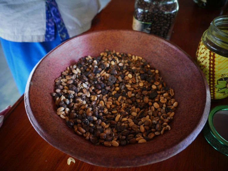 p1040403_33720412896_o