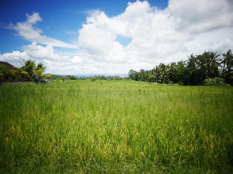 p1040411_33604808142_o