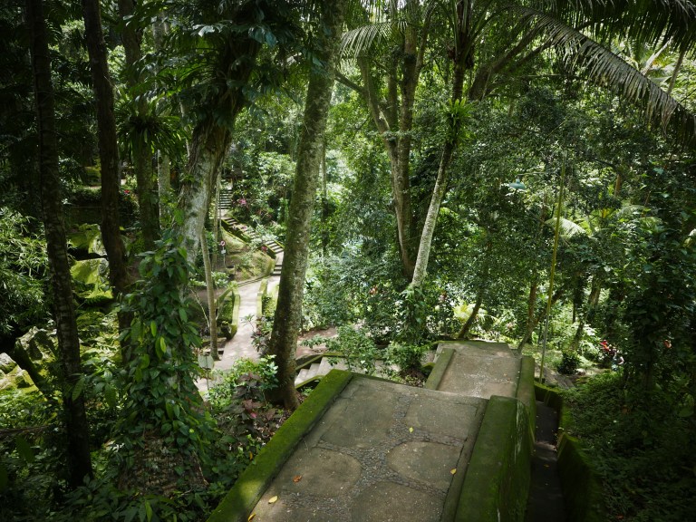 p1040420_33376649780_o