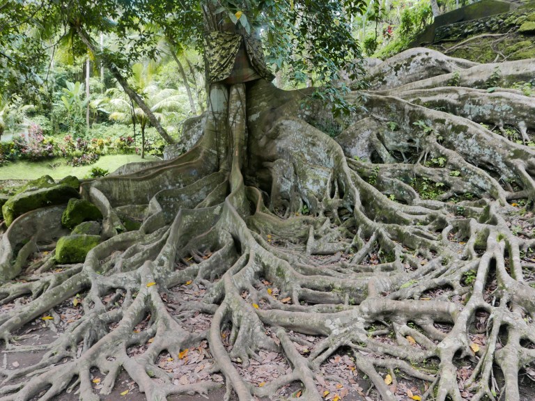 p1040428_33376655050_o