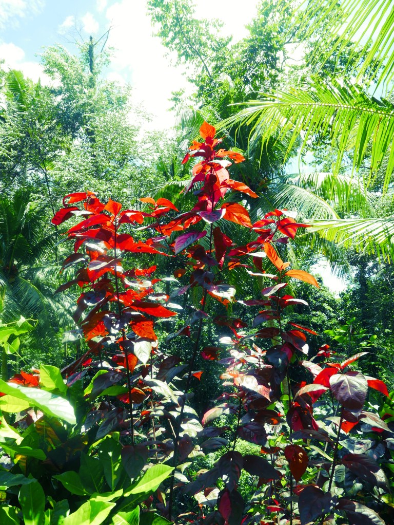 p1040446_32918155114_o