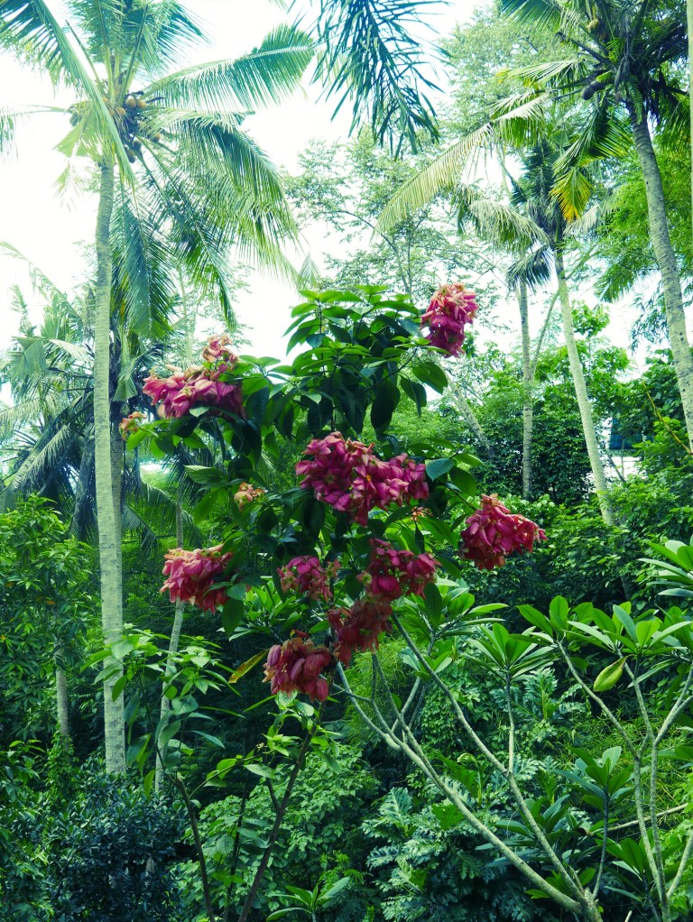 p1040455_32918162574_o