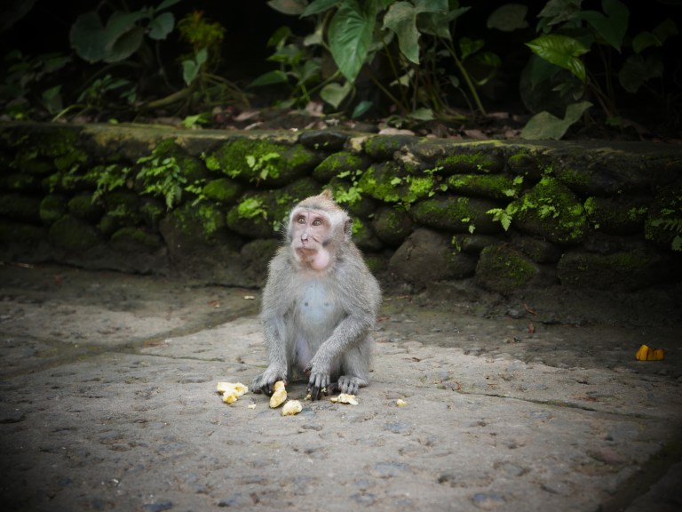 p1040468_32948377663_o