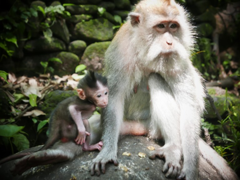 p1040473_32948378983_o