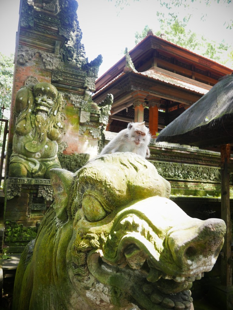 p1040493_32948382693_o