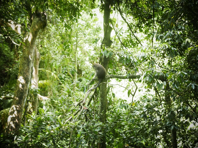 p1040498_33632285091_o