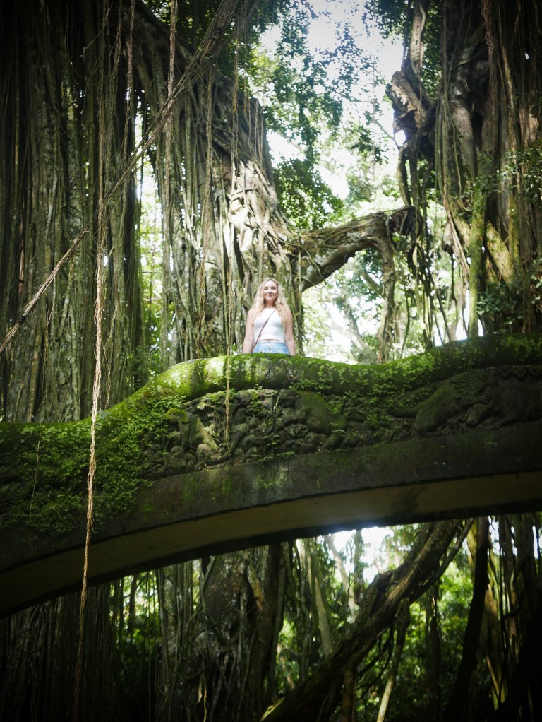 p1040519_33632290151_o