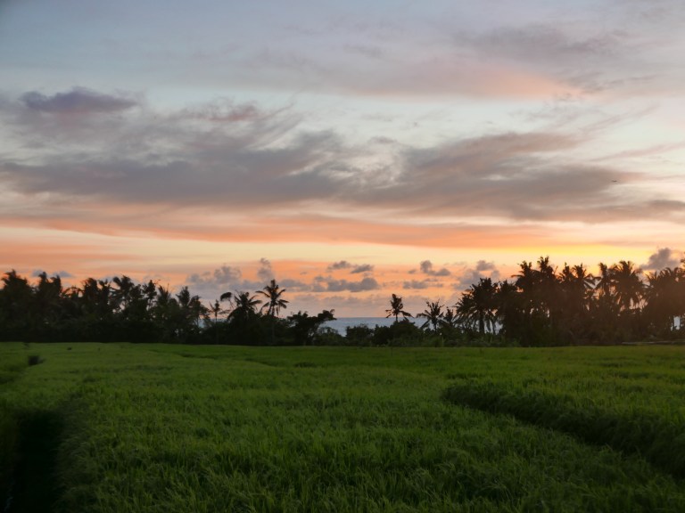 p1040600_33632296991_o