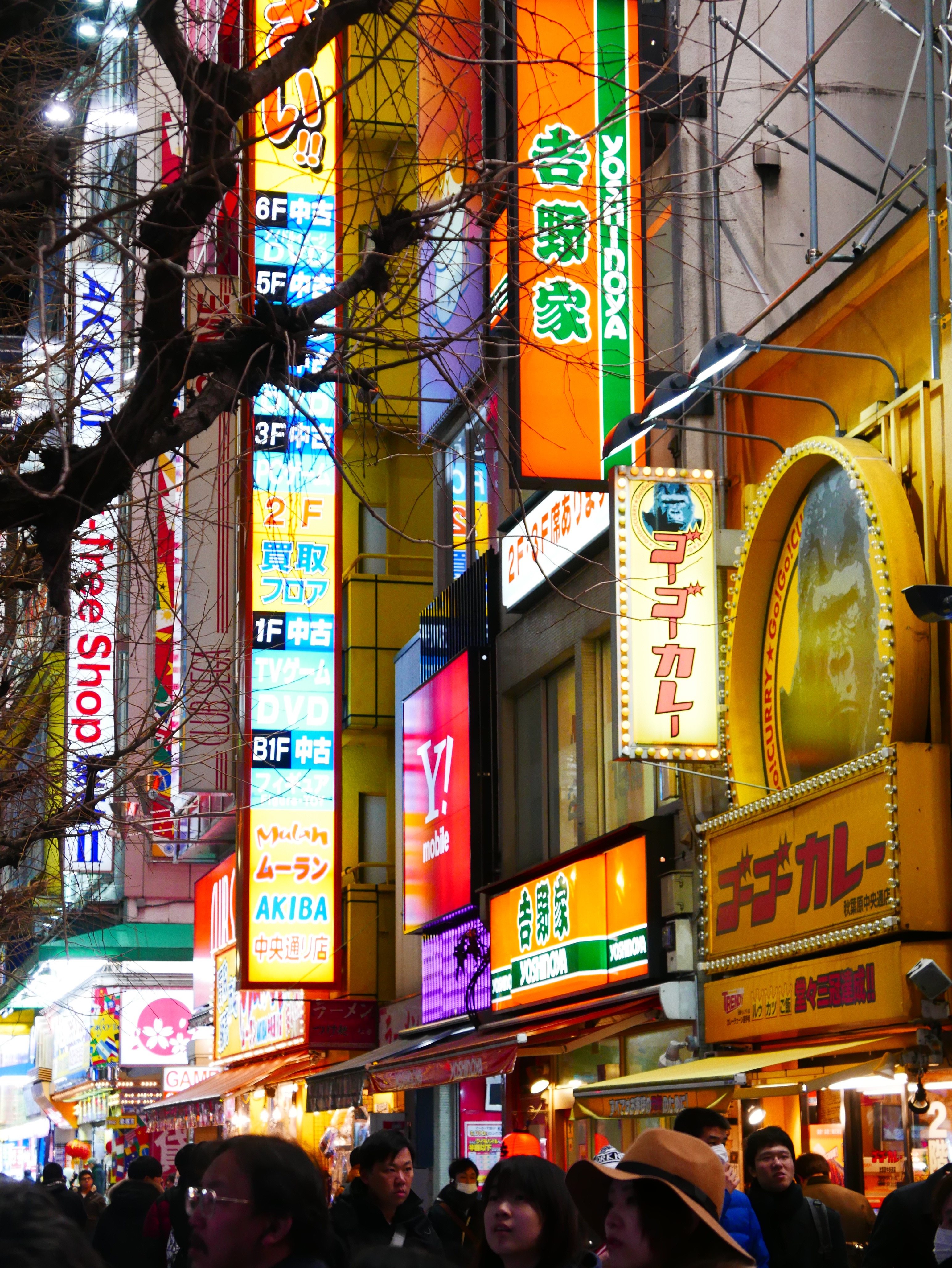 img_4856_32961374223_o