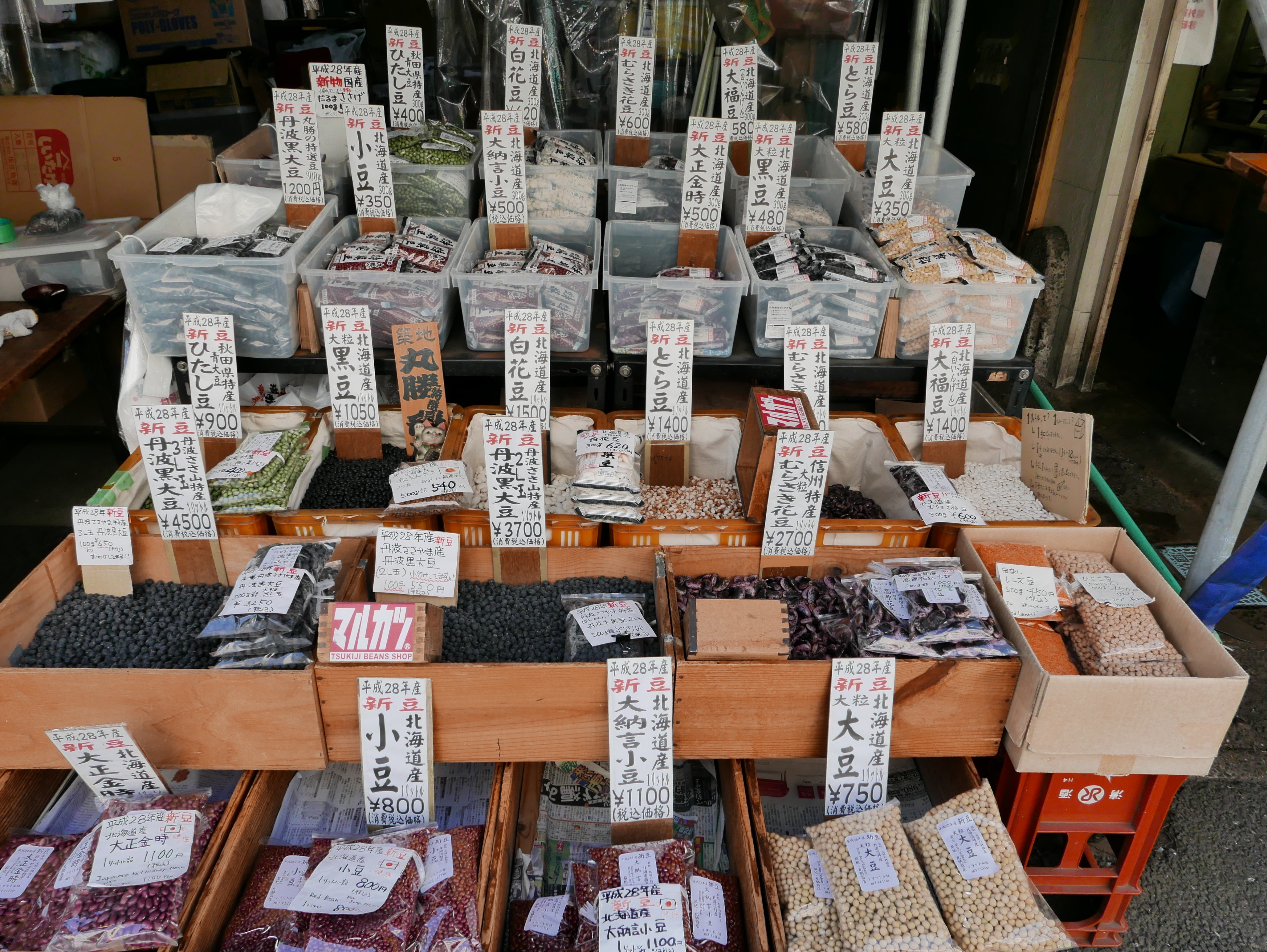 p1050082_33617726632_o