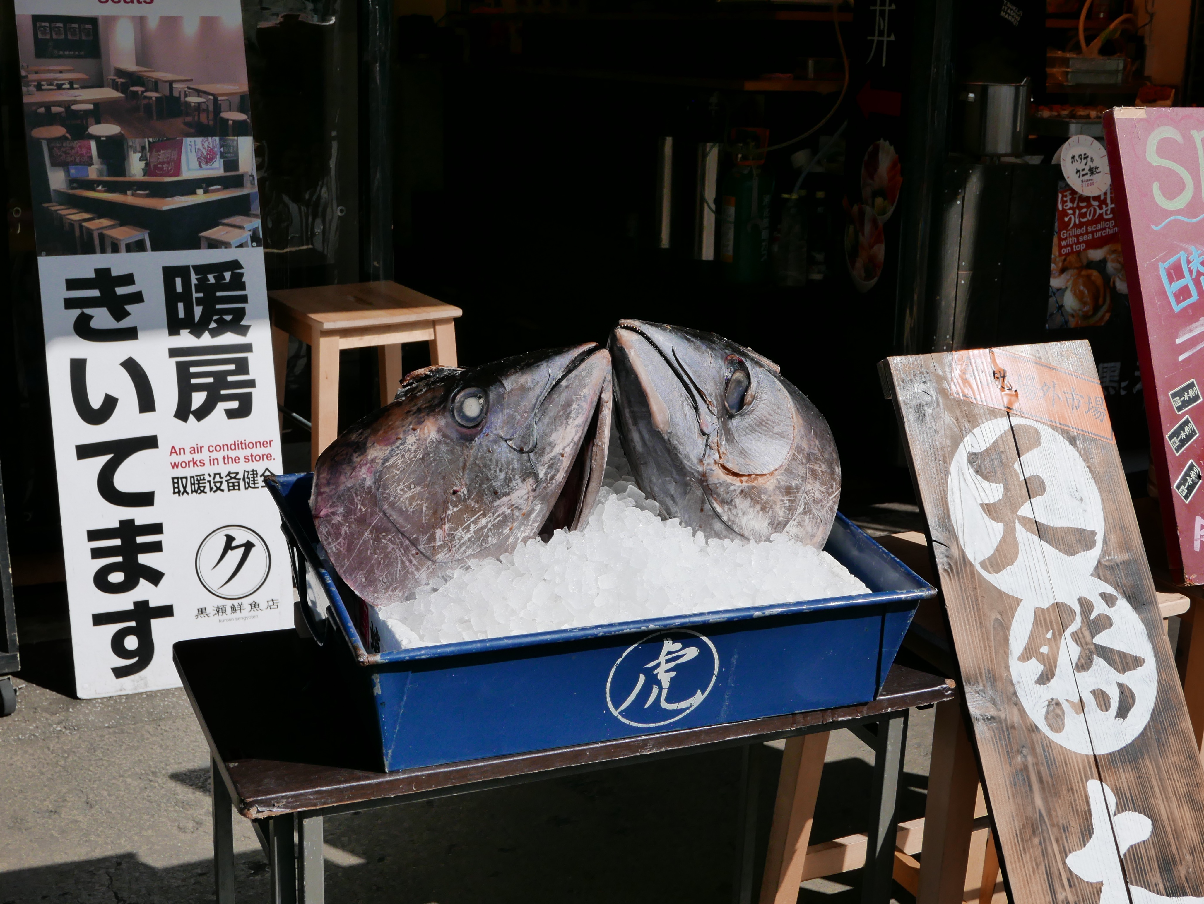 p1050083_33617722782_o