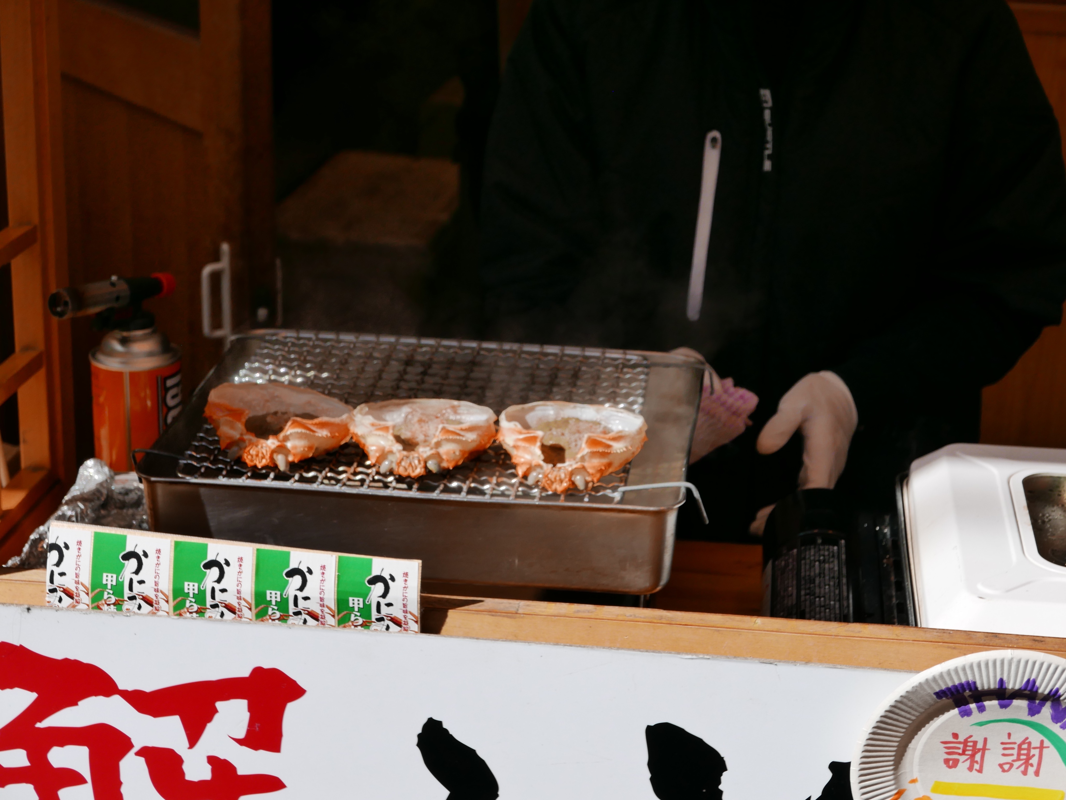 p1050088_33617730002_o