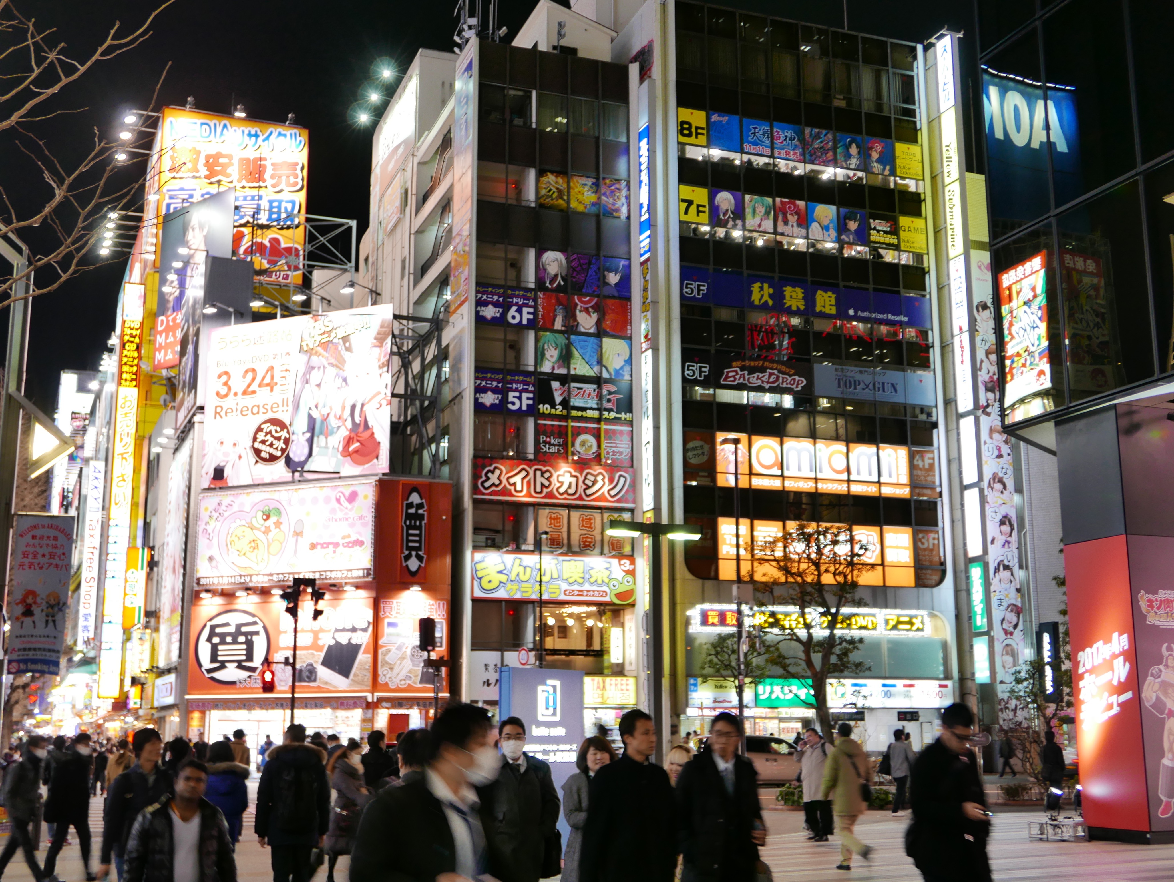 p1050104_32961370563_o