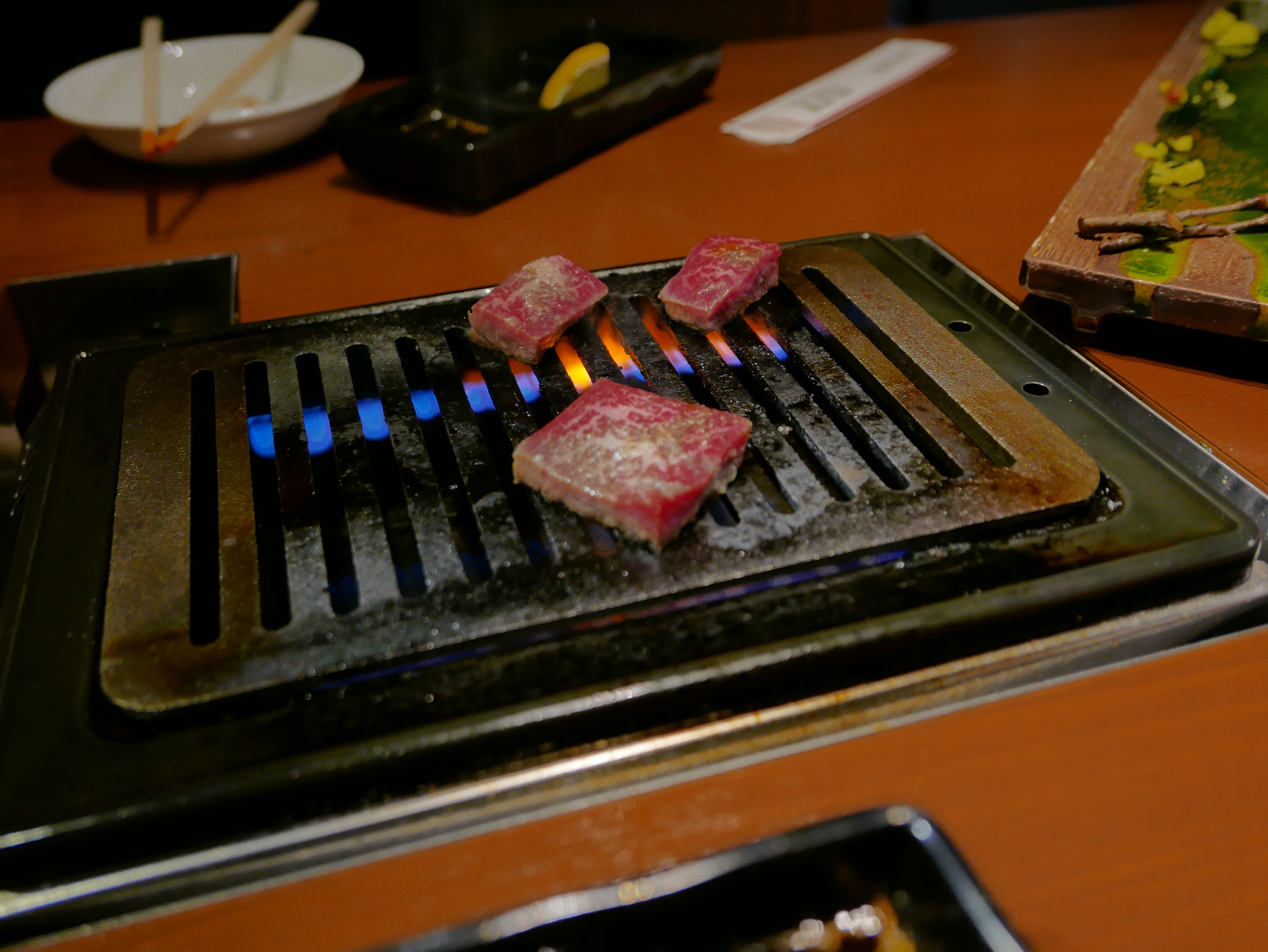 p1050177_33733533826_o